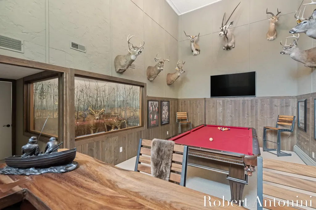 4751 S Johnson Road Montcalm Township MI 49326