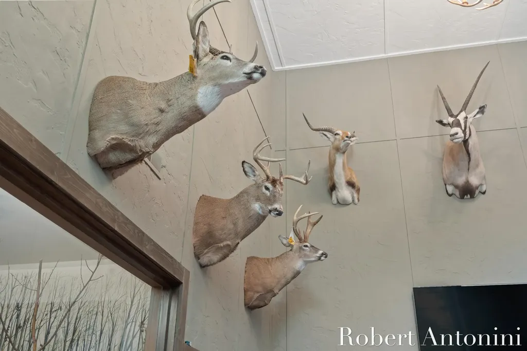 4751 S Johnson Road Montcalm Township MI 49326