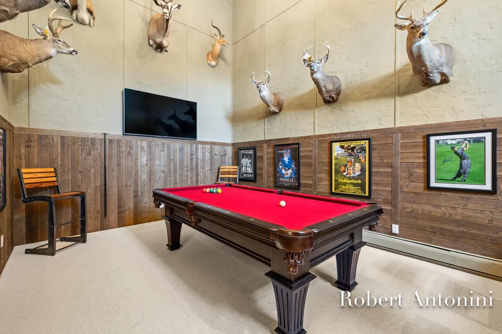4751 S Johnson Road Montcalm Township MI 49326
