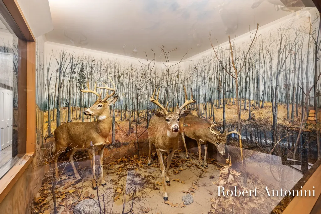 4751 S Johnson Road Montcalm Township MI 49326