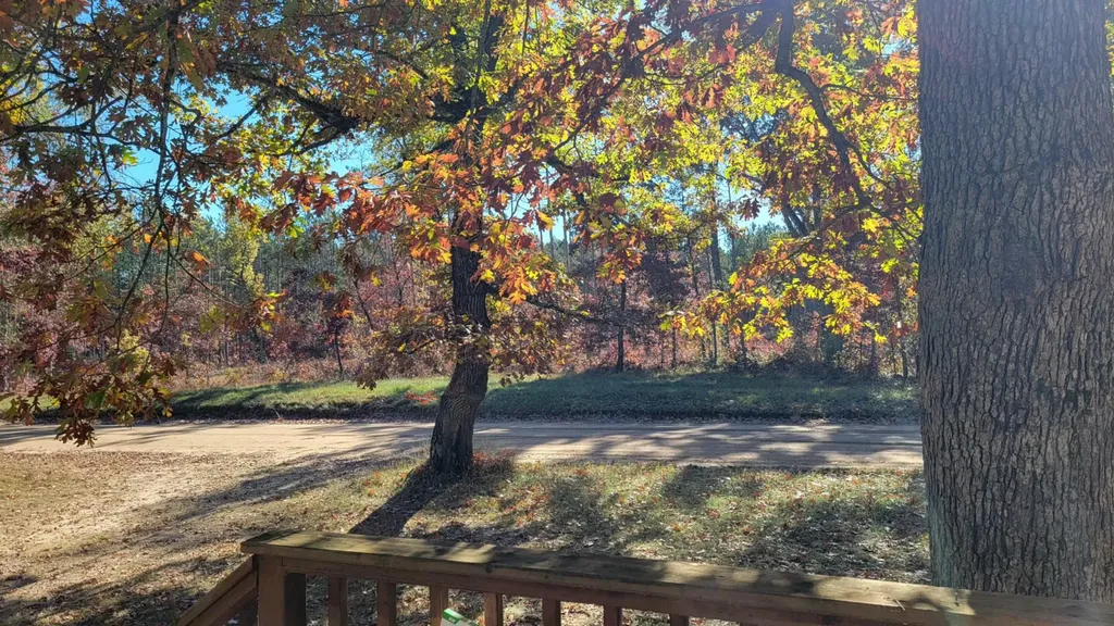 11988 S Shady Grove Drive Lake Township MI 49304