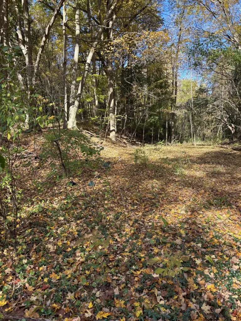 5898 M-37 Baltimore Township MI 49058