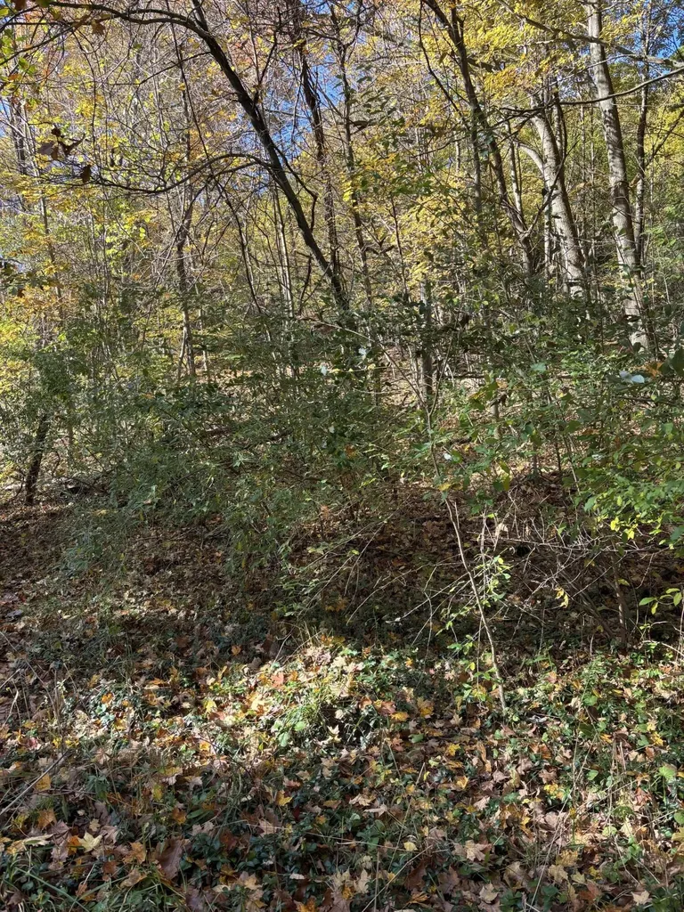 5898 M-37 Baltimore Township MI 49058
