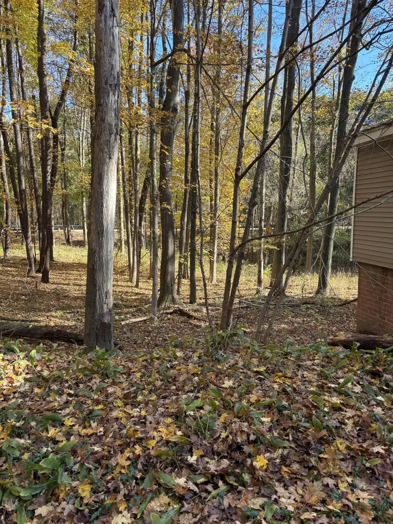 5898 M-37 Baltimore Township MI 49058