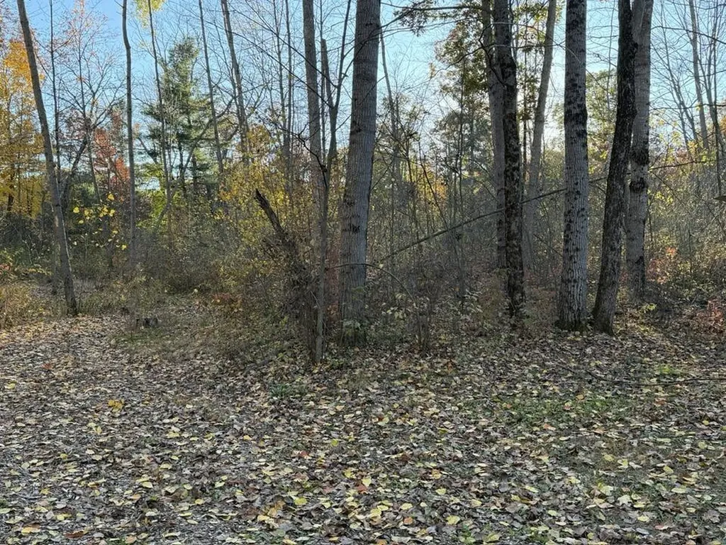 9807 N Maple Hill Road Reynolds Township MI 49329