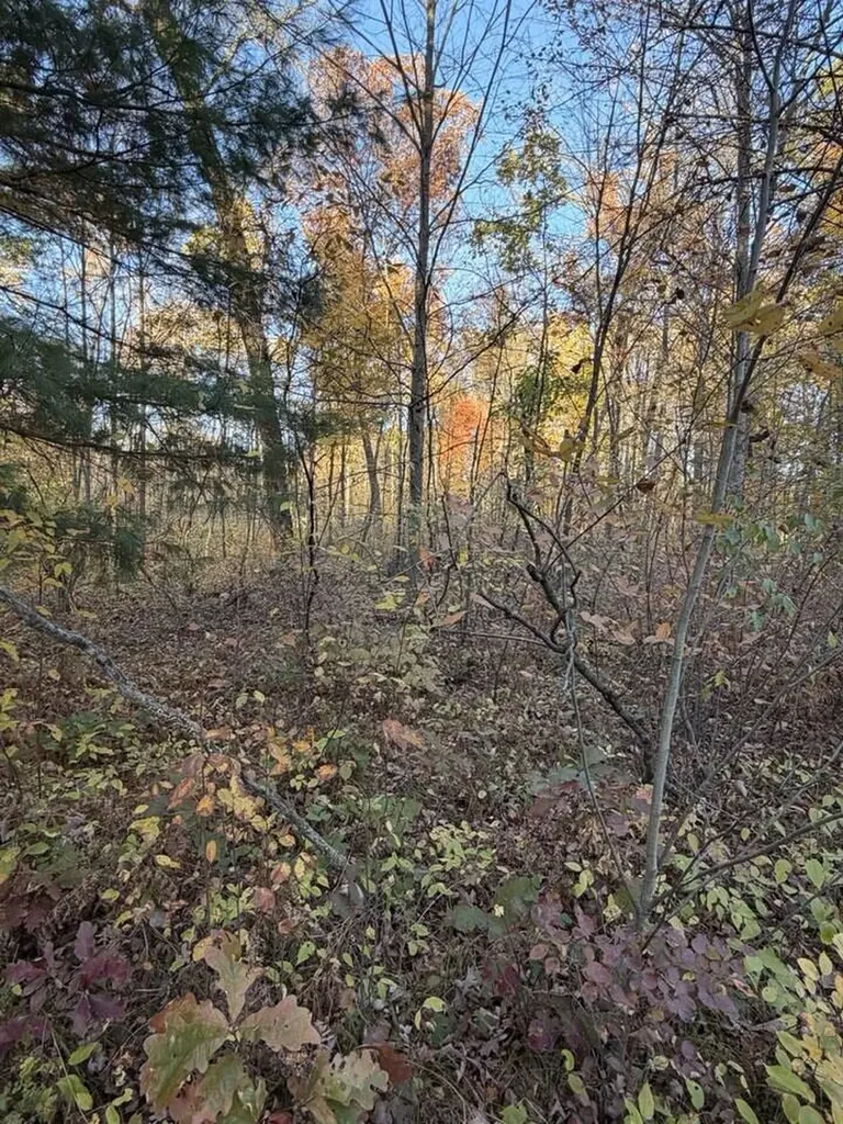 9807 N Maple Hill Road Reynolds Township MI 49329