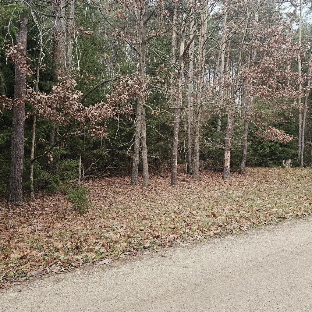 9138 White Pine Drive Morton Township MI 49346