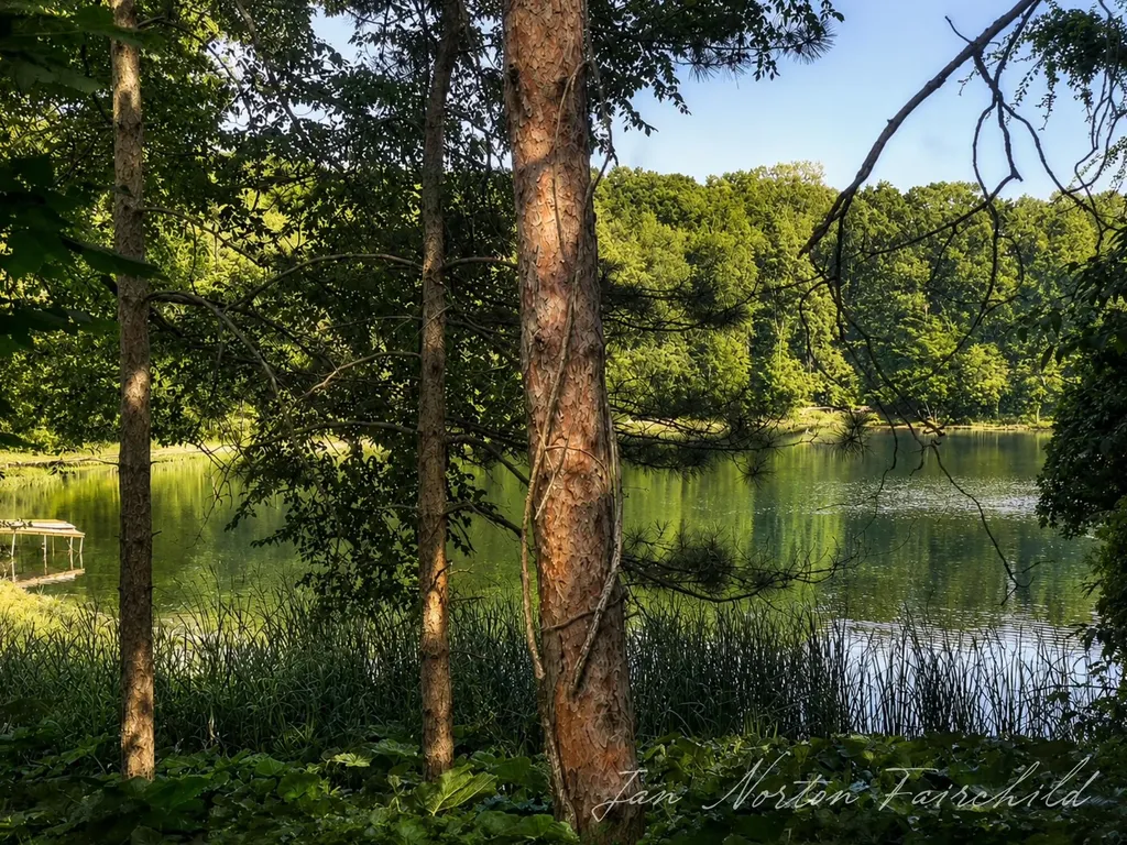 8050 Wilderness Trail NE Ada Township MI 49301