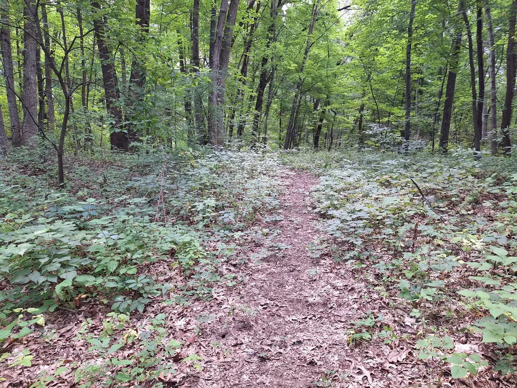 8315 Ramsdell Drive NE Cannon Township MI 49341