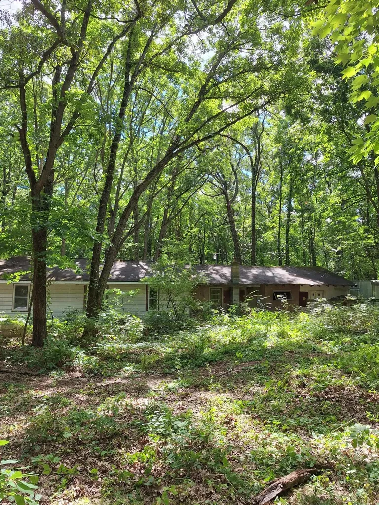 8315 Ramsdell Drive NE Cannon Township MI 49341