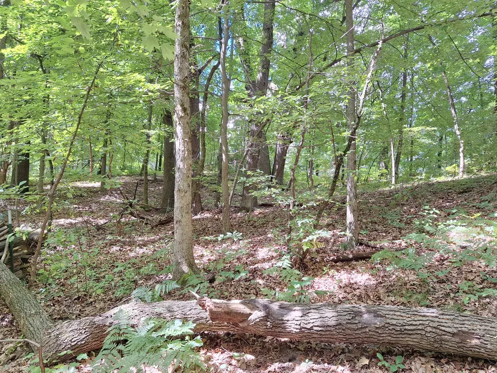 8315 Ramsdell Drive NE Cannon Township MI 49341