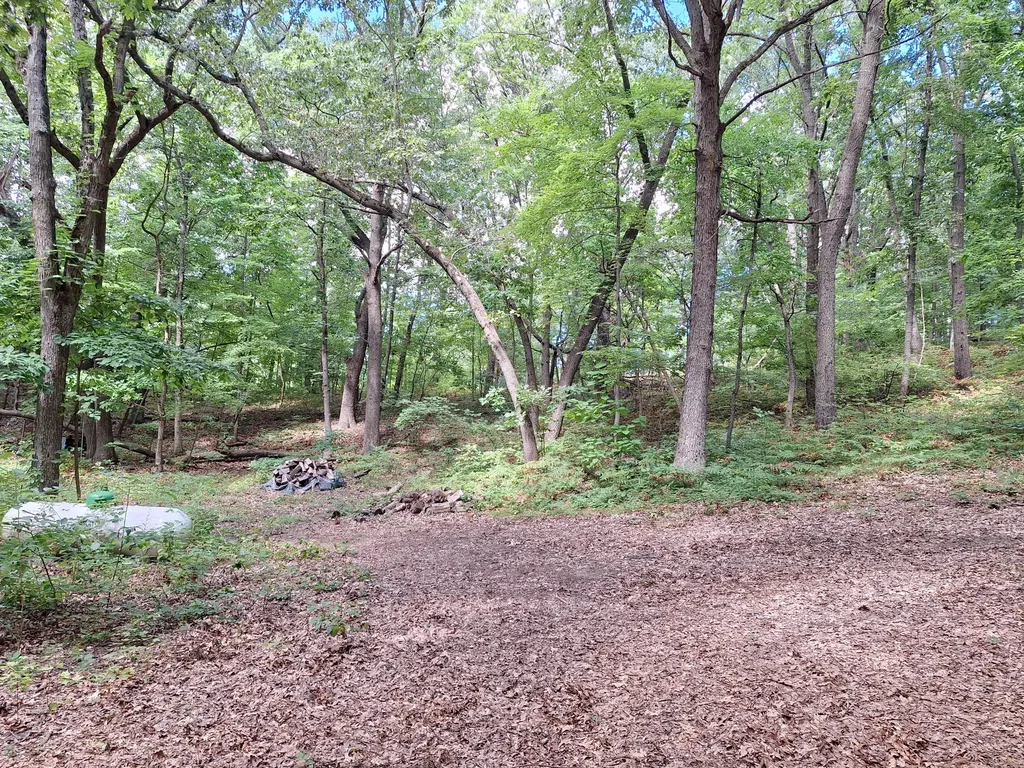 8315 Ramsdell Drive NE Cannon Township MI 49341