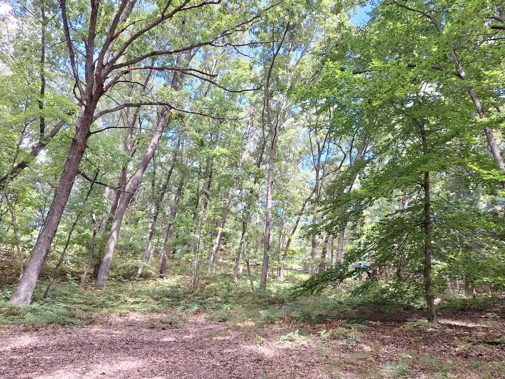 8315 Ramsdell Drive NE Cannon Township MI 49341