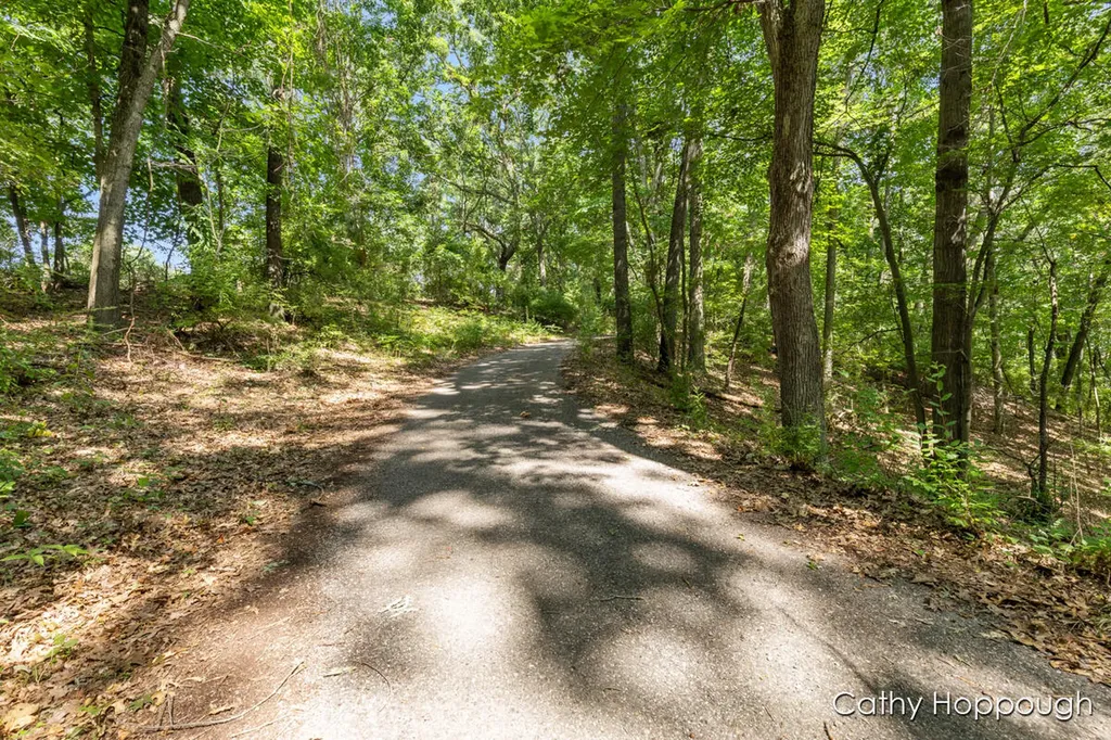 735 Prairie Creek Road Ionia Township MI 48846