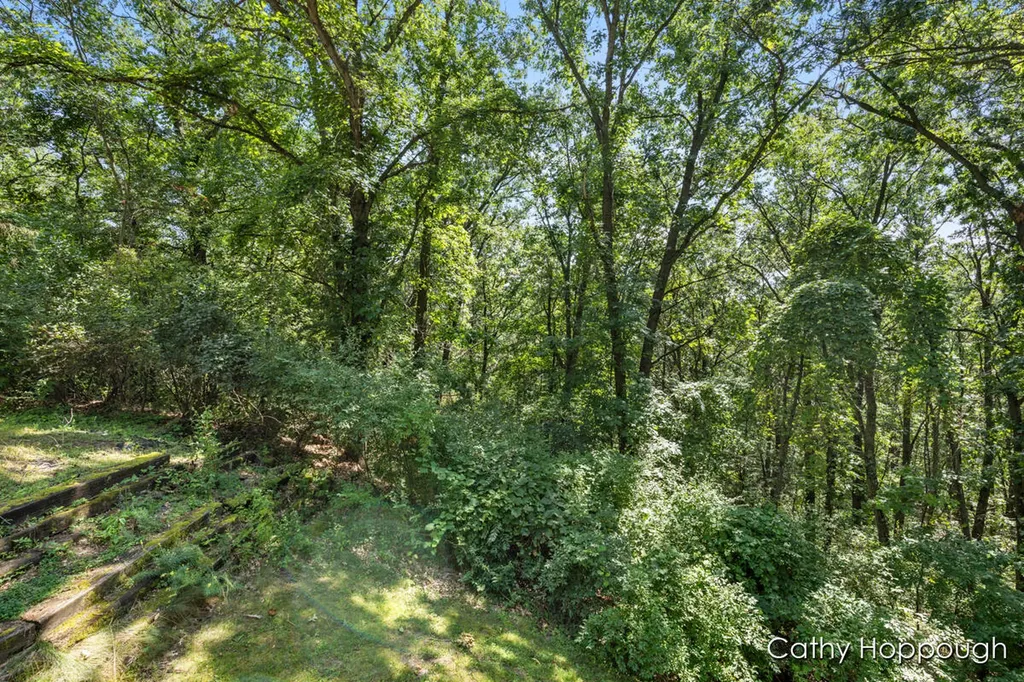 735 Prairie Creek Road Ionia Township MI 48846