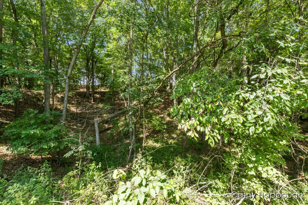 735 Prairie Creek Road Ionia Township MI 48846