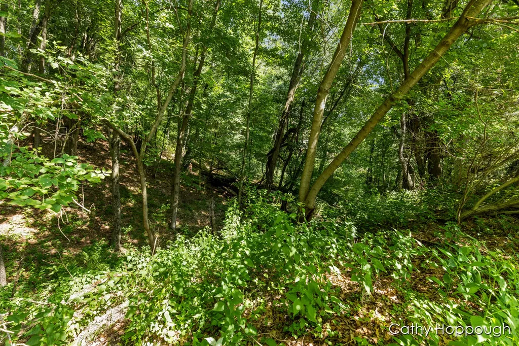 735 Prairie Creek Road Ionia Township MI 48846