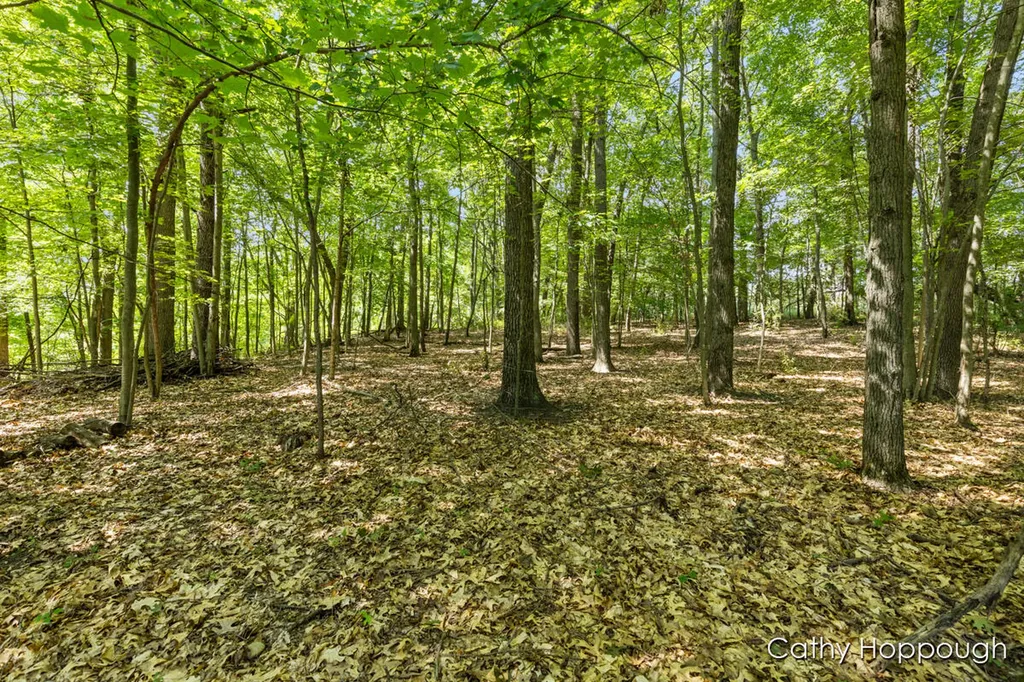 735 Prairie Creek Road Ionia Township MI 48846