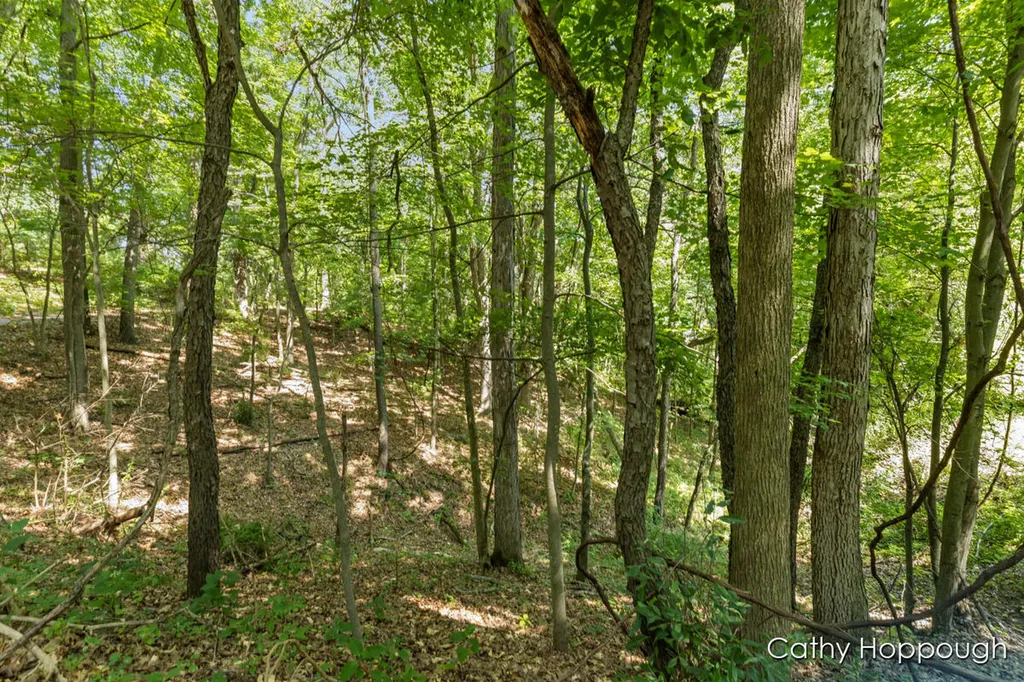 735 Prairie Creek Road Ionia Township MI 48846