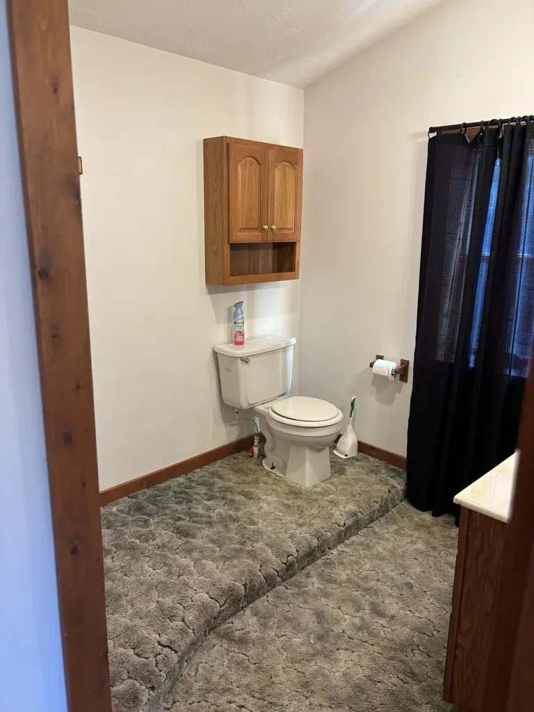 1170 Somers Road Ionia Township MI 48851