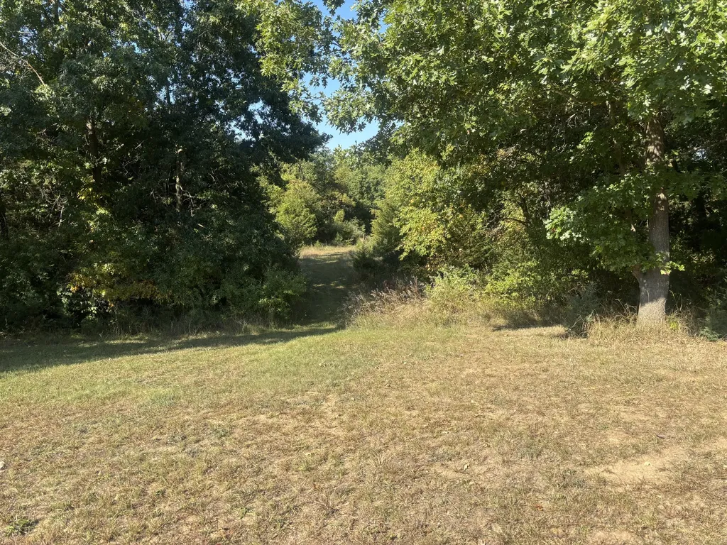 1170 Somers Road Ionia Township MI 48851