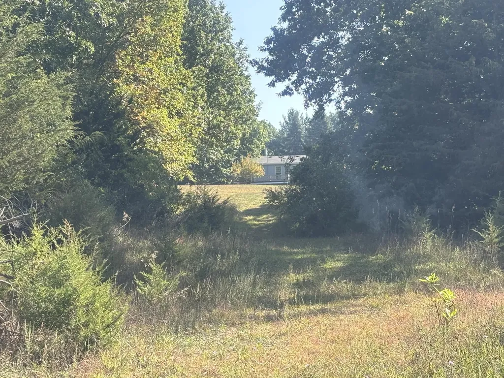 1170 Somers Road Ionia Township MI 48851