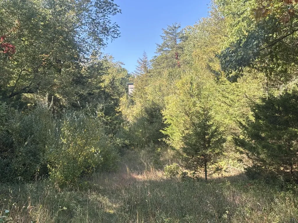 1170 Somers Road Ionia Township MI 48851