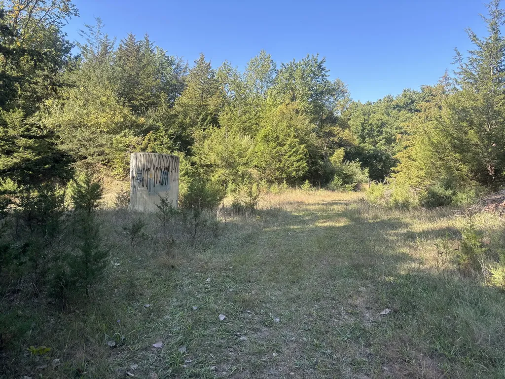 1170 Somers Road Ionia Township MI 48851