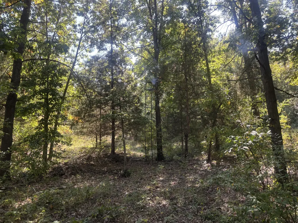 1170 Somers Road Ionia Township MI 48851