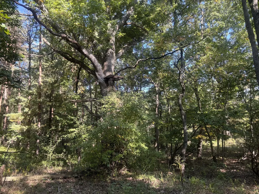 1170 Somers Road Ionia Township MI 48851