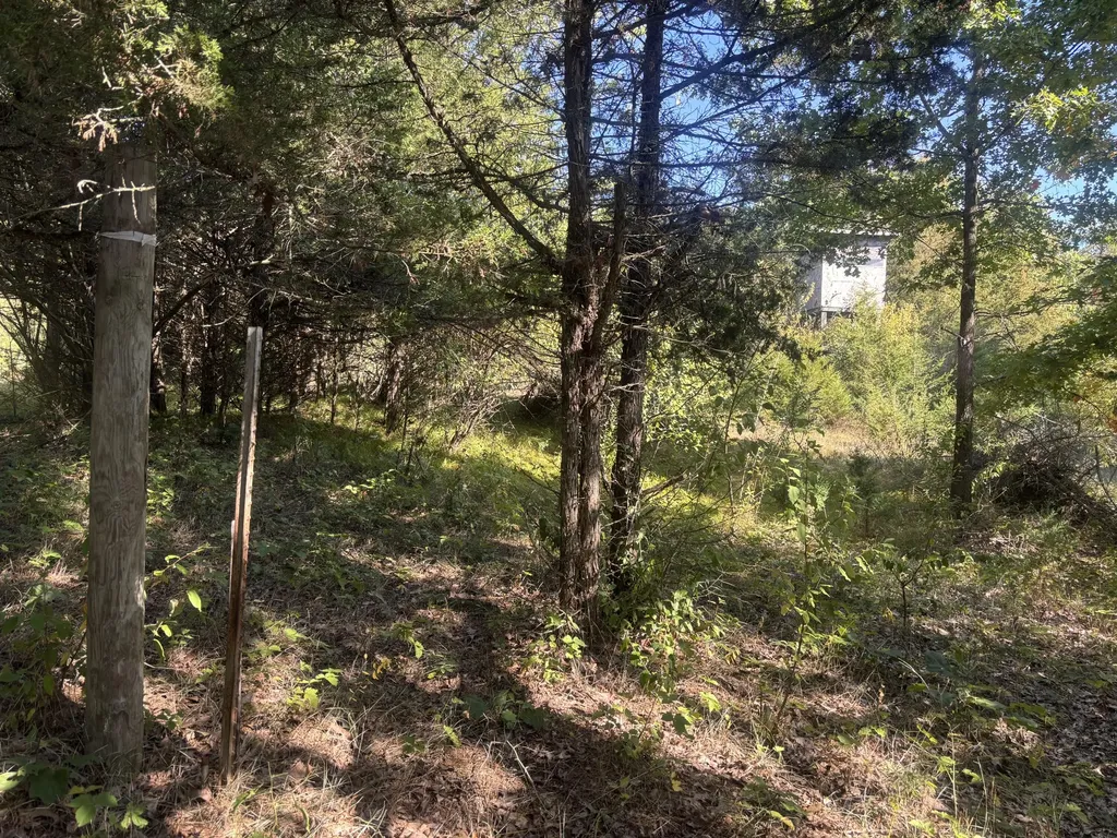 1170 Somers Road Ionia Township MI 48851