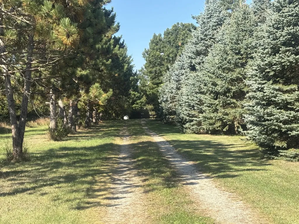 1170 Somers Road Ionia Township MI 48851