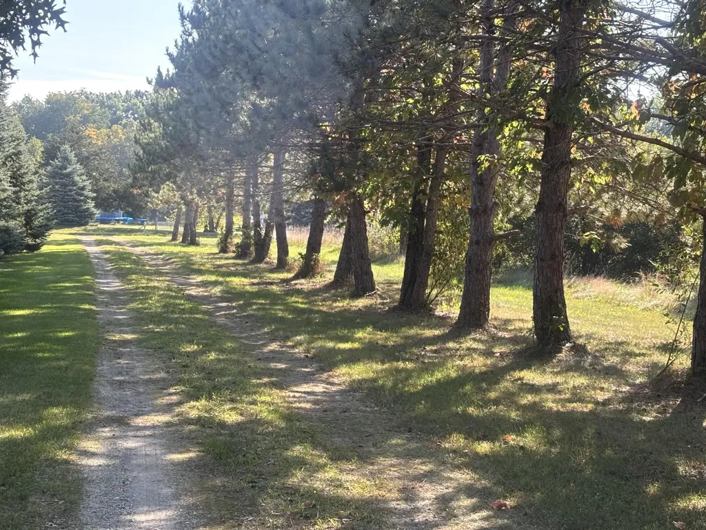 1170 Somers Road Ionia Township MI 48851