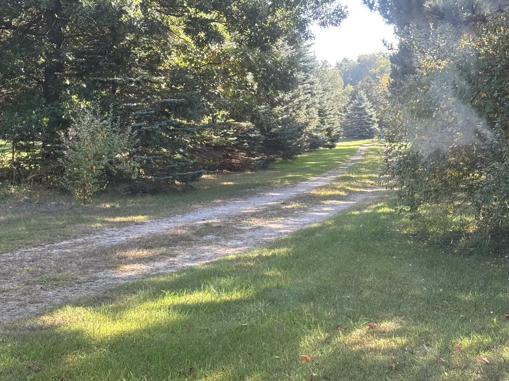 1170 Somers Road Ionia Township MI 48851