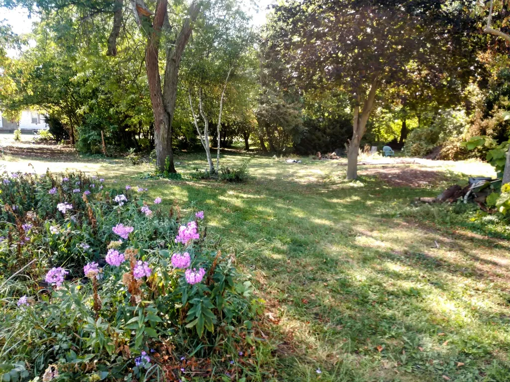 7518 S Crystal Road Bloomer Township MI 48811