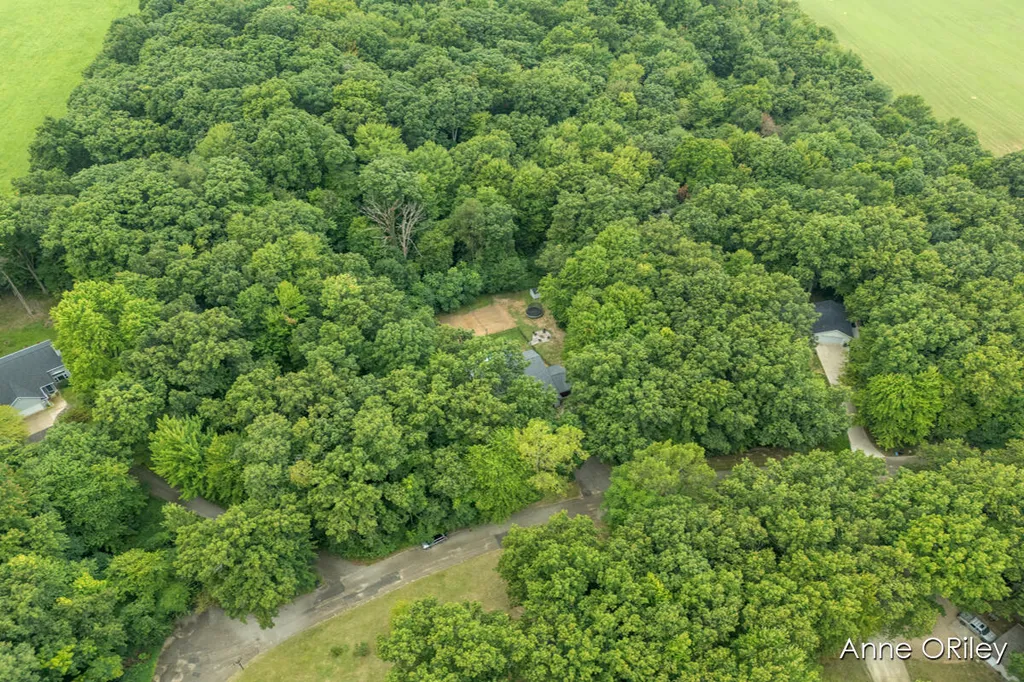 3705 Josie Lane Irving Township MI 49333