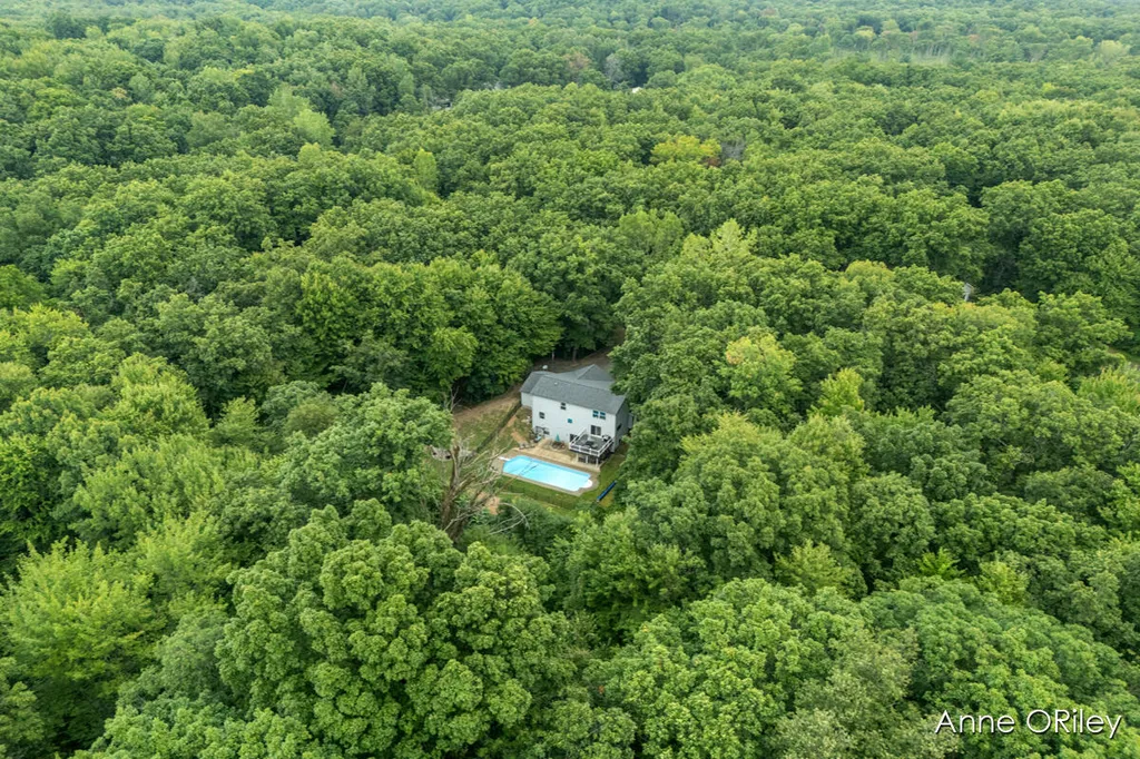 3705 Josie Lane Irving Township MI 49333