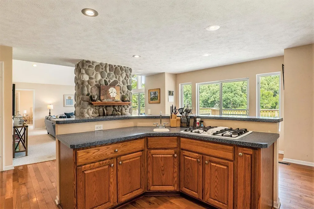 7805 Cougar Drive Prairieville Township MI 49046