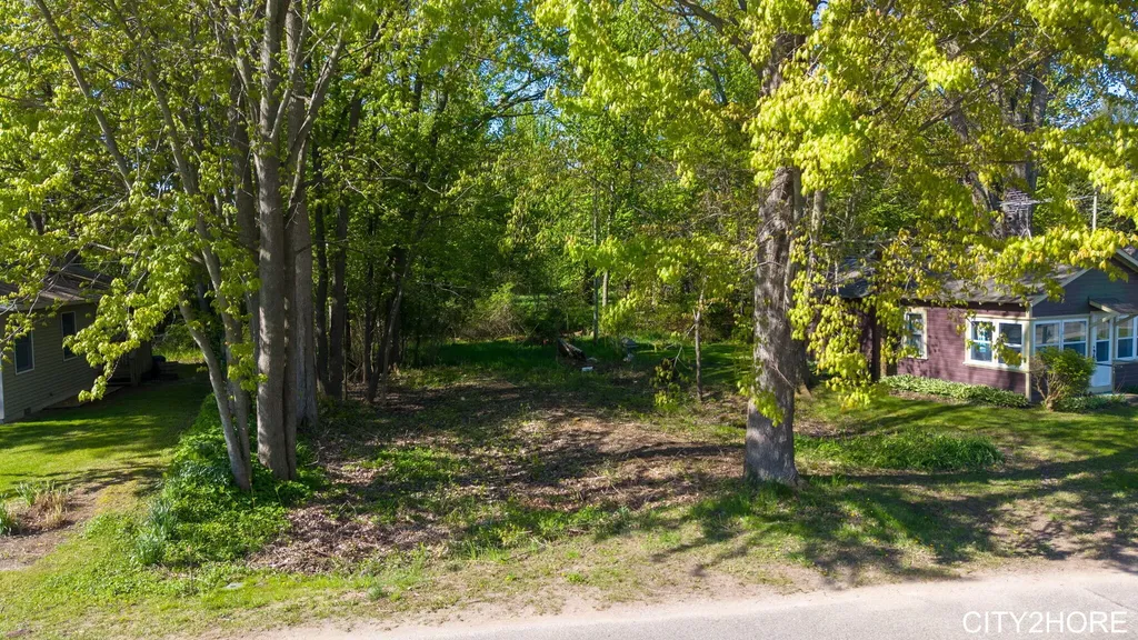 5964 122nd Avenue Clyde Township MI 49408
