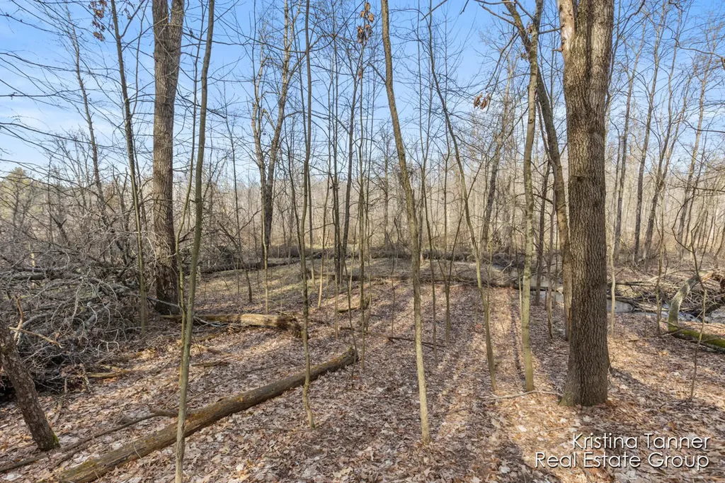 742 Honey Creek Ada Township MI 49301