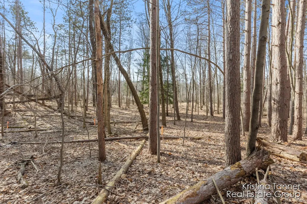742 Honey Creek Ada Township MI 49301