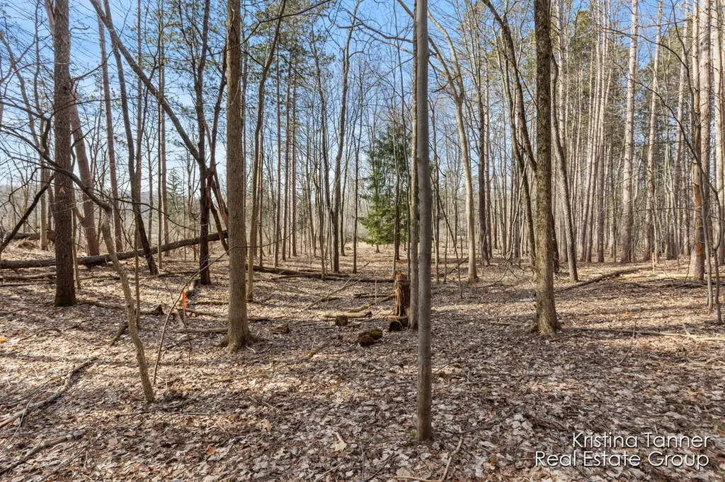 742 Honey Creek Ada Township MI 49301