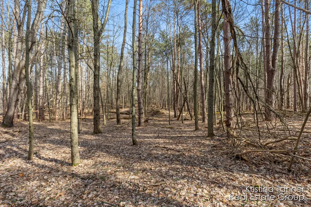 742 Honey Creek Ada Township MI 49301