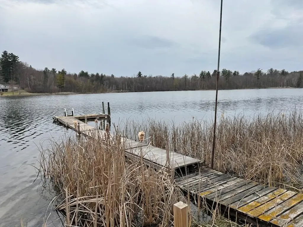 4605 Hunters Trail Douglass Township MI 48886