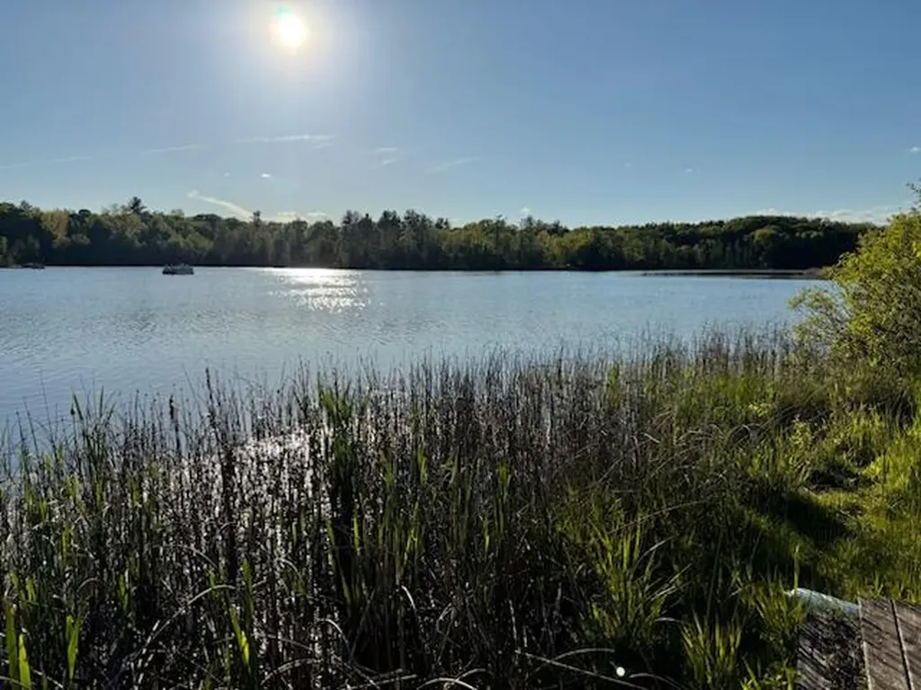 4605 Hunters Trail Douglass Township MI 48886