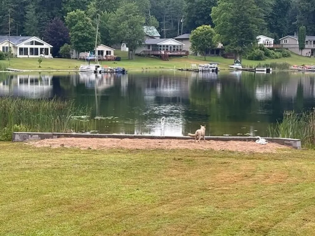 4605 Hunters Trail Douglass Township MI 48886