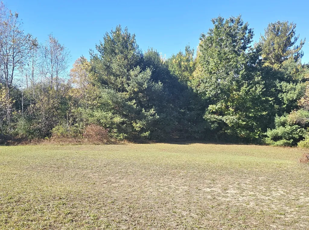8091 Goebel Road South Arm Township MI 49727