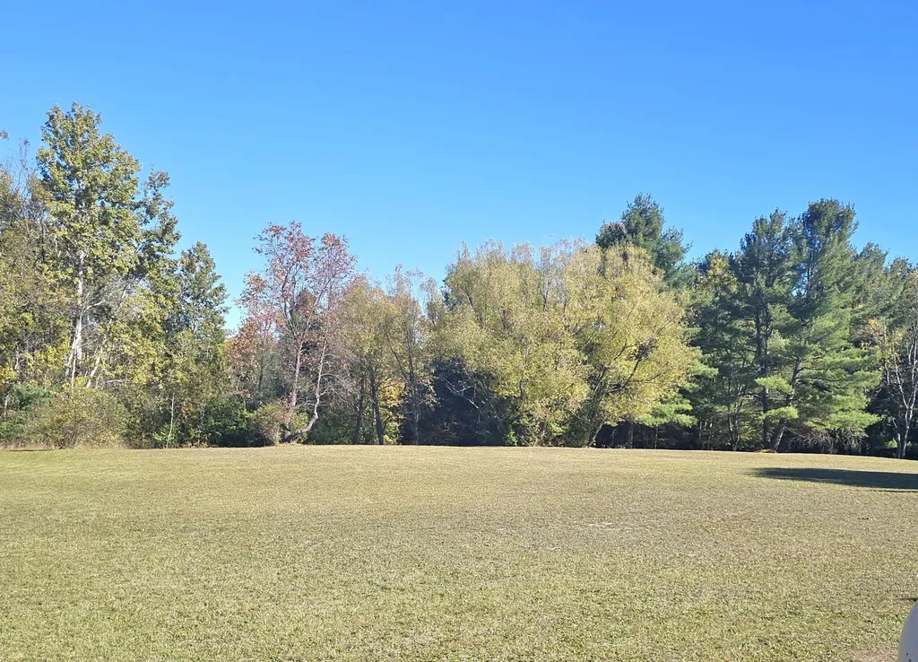 8091 Goebel Road South Arm Township MI 49727