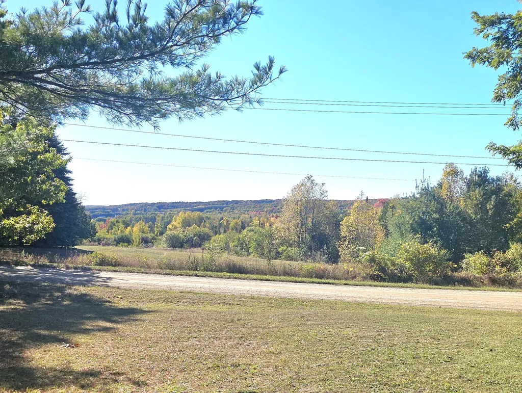 8091 Goebel Road South Arm Township MI 49727