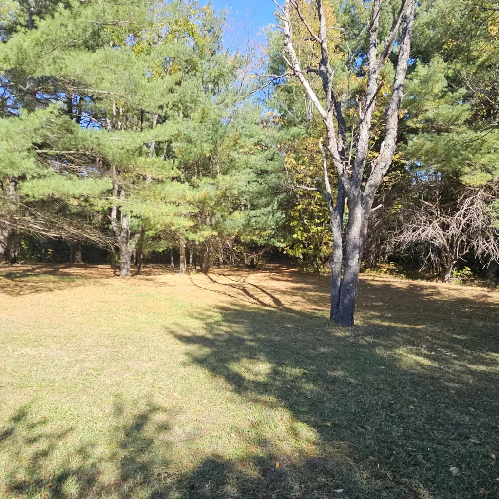 8091 Goebel Road South Arm Township MI 49727